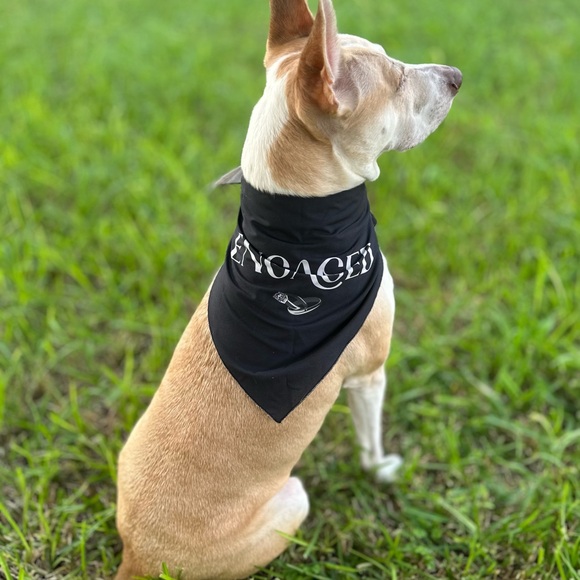 New with Tags Reversible Dog Bandanna “Just Married” “Engaged” Wedding - Picture 4 of 6